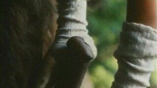 The Beast - porn video