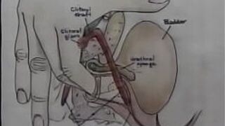 Sex Education Orgasm Training Video - porn video